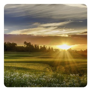 Ярилин День – праздник плодородия